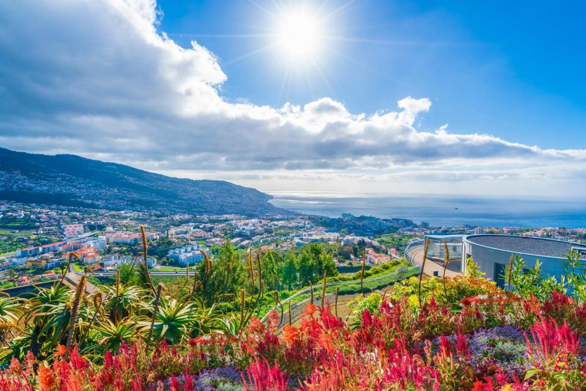 Art Deco Central Apartments, Funchal Dış mekan fotoğraf